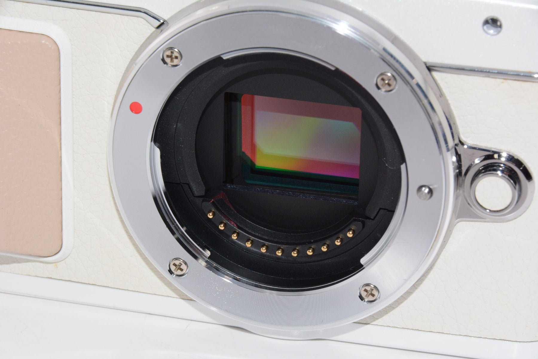 【外観特上級】OLYMPUS PEN E-PL7 ボディ ホワイト ミラーレス一眼