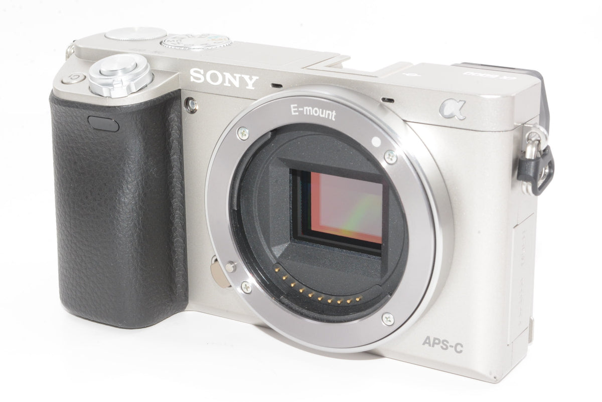 【外観特上級】SONY α6000 ダブルズームレンズキット
