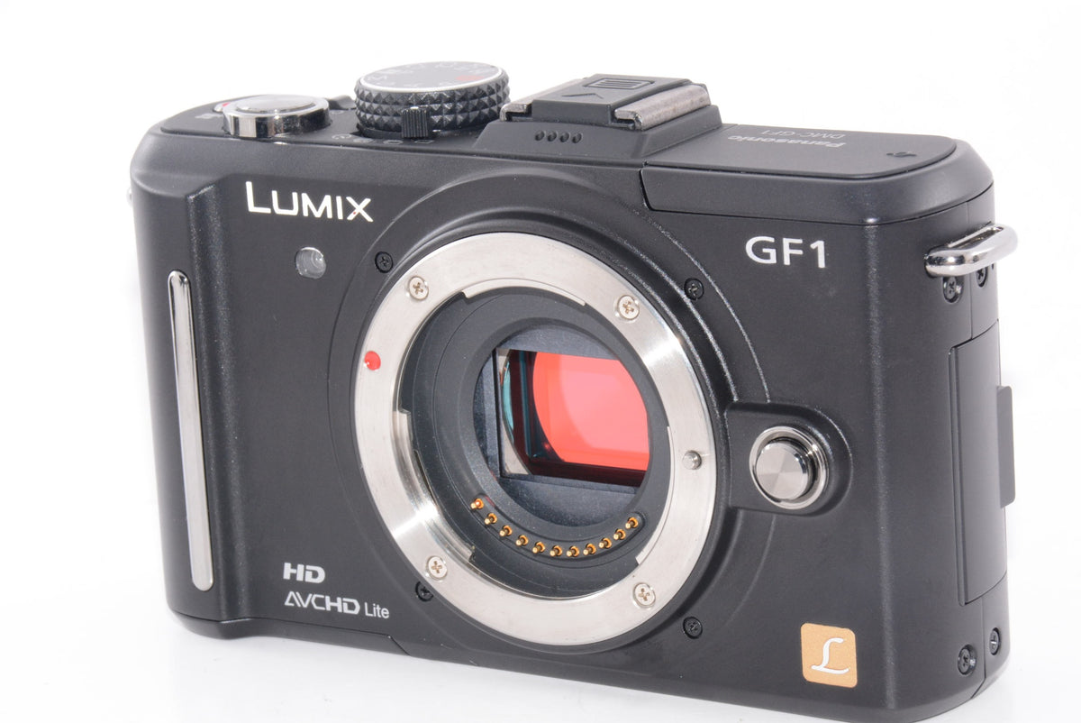 【外観特上級】Panasonic LUMIX GF1 ボディ DMC-GF1