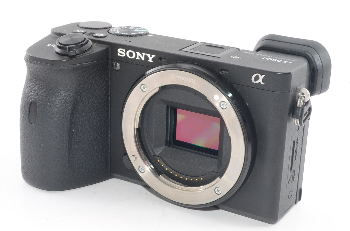 【外観特上級】ソニー SONY ミラーレス一眼 α6600 ボディ ブラック ILCE-6600