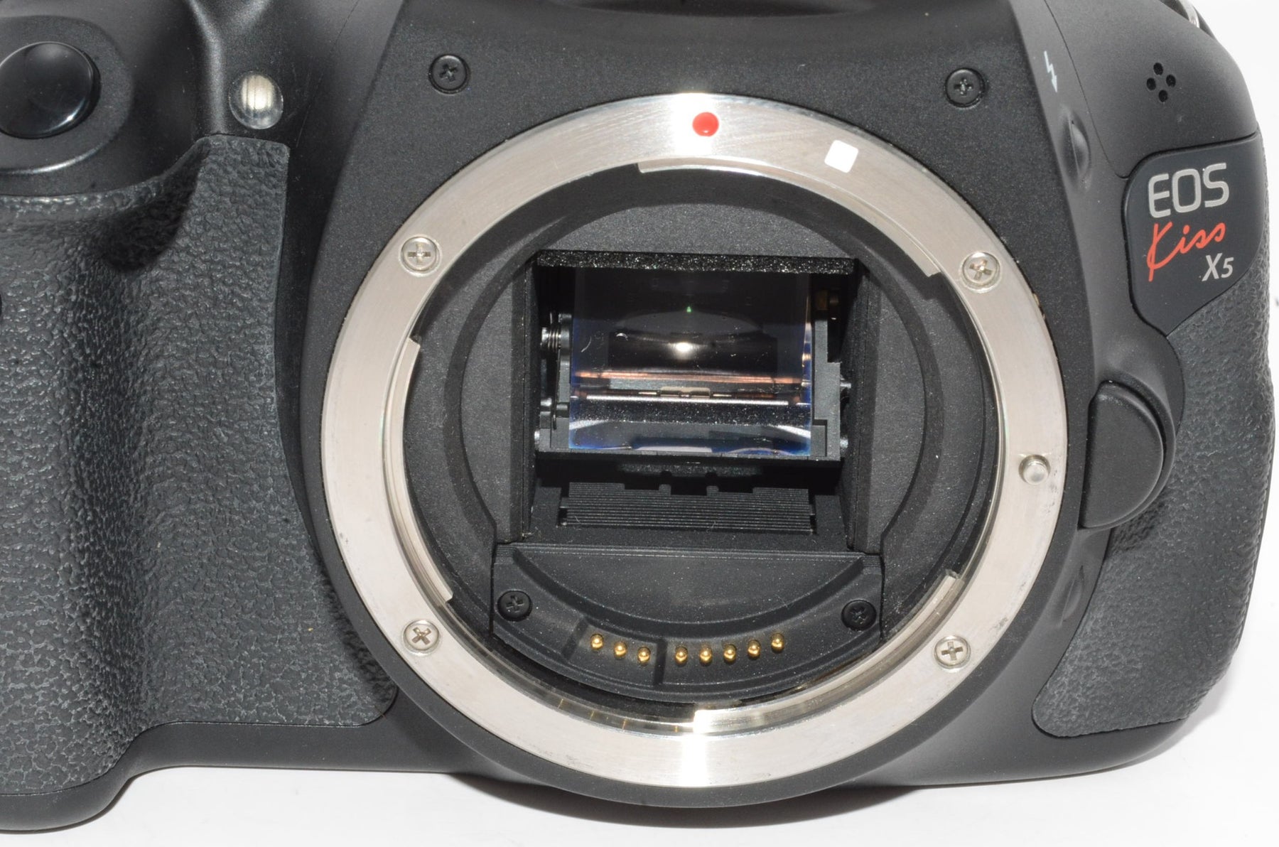 【外観特上級】Canon  EOS Kiss X5 ボディ