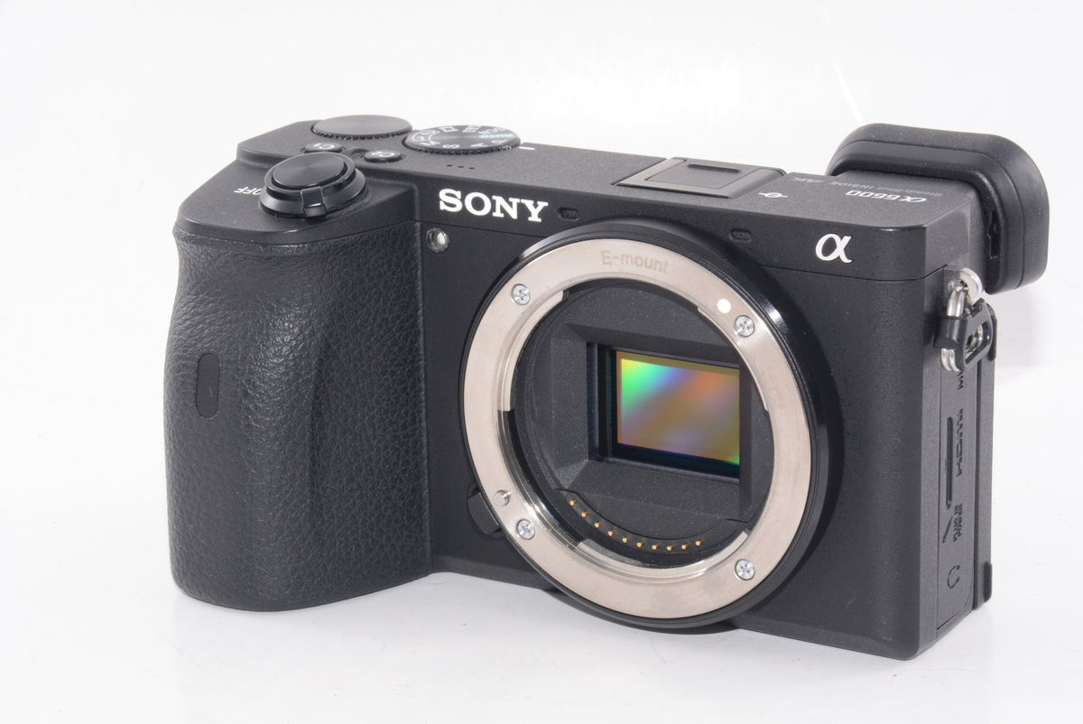 【外観特上級】SONY ミラーレス一眼 α6600M  E 18-135mm F3.5-5.6 OSS SEL18135