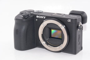 【外観特上級】SONY ミラーレス一眼 α6600M  E 18-135mm F3.5-5.6 OSS SEL18135