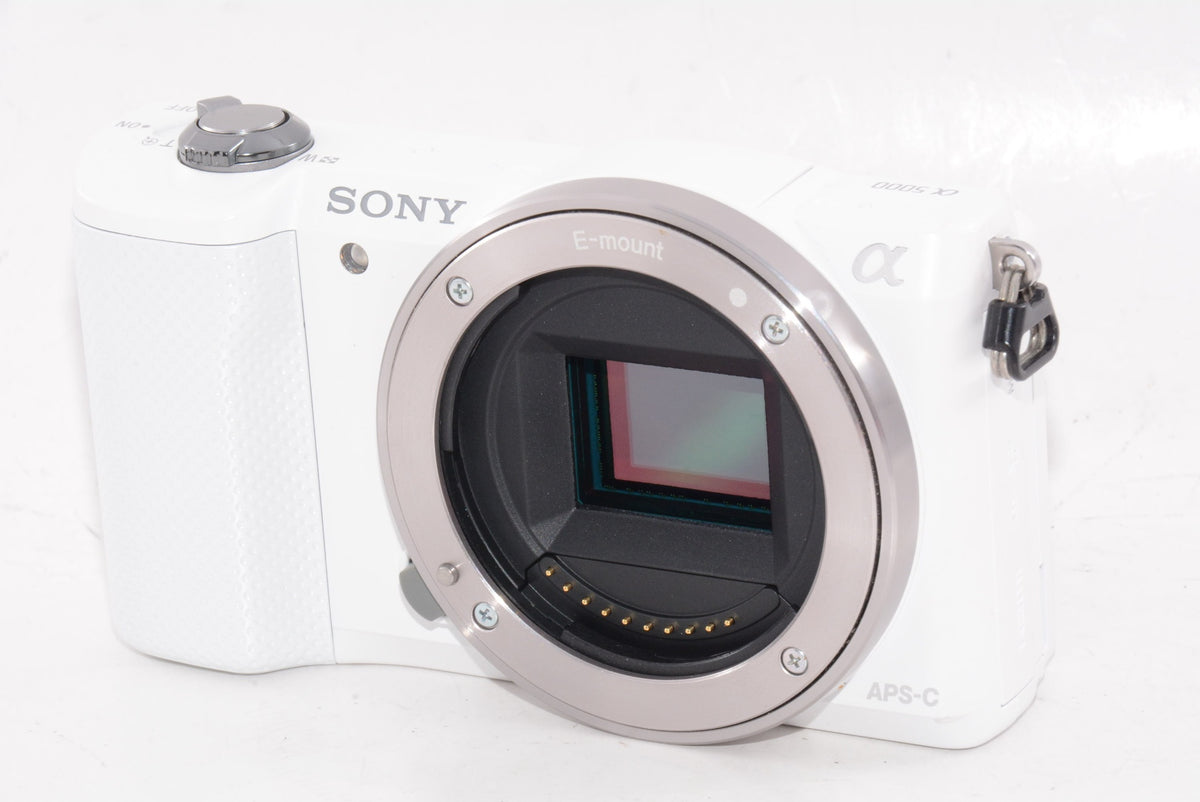 【外観特上級】SONY α5000 パワーズームレンズキット