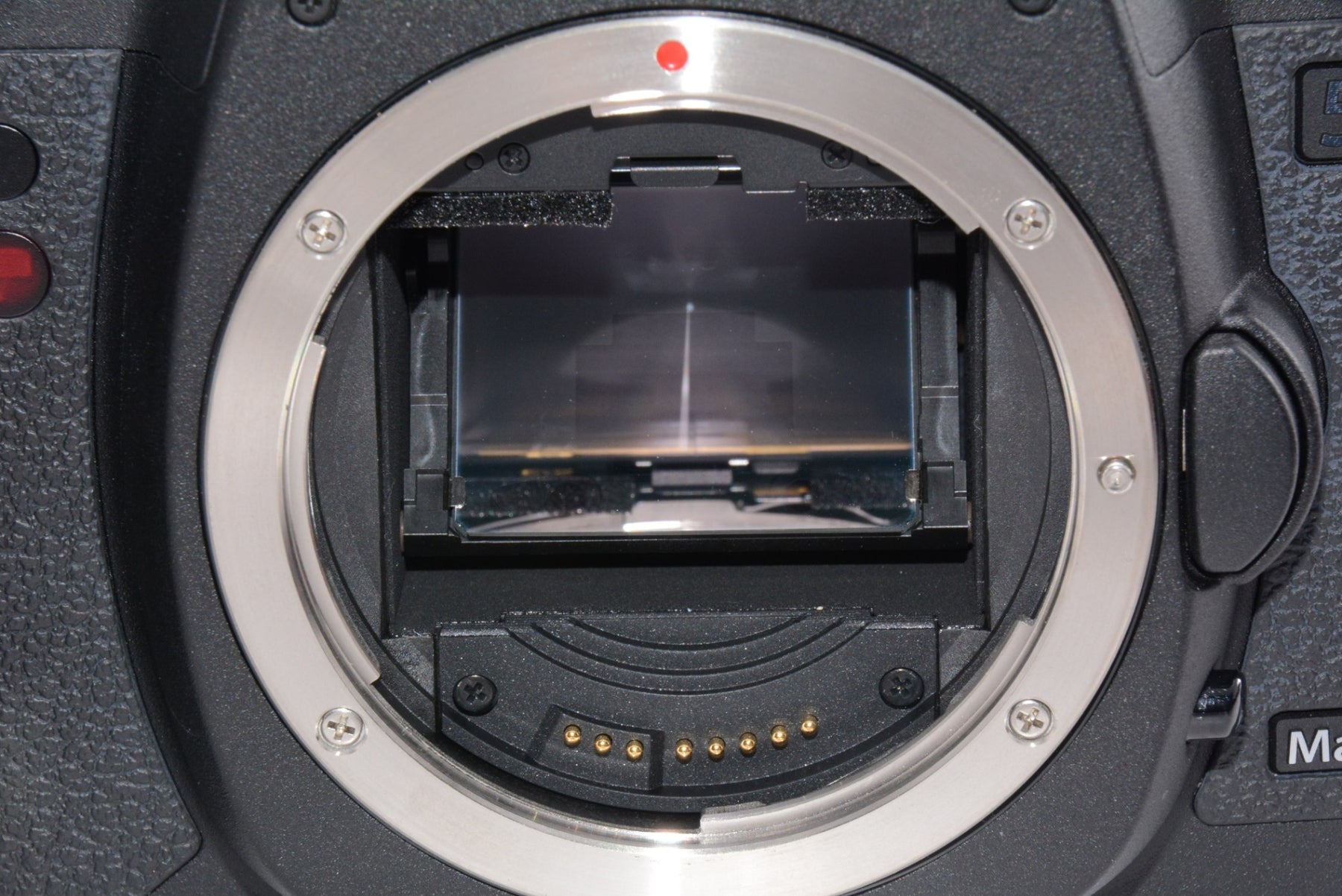 【外観特上級】Canon デジタル一眼レフカメラ EOS 5D MarkII ボディ