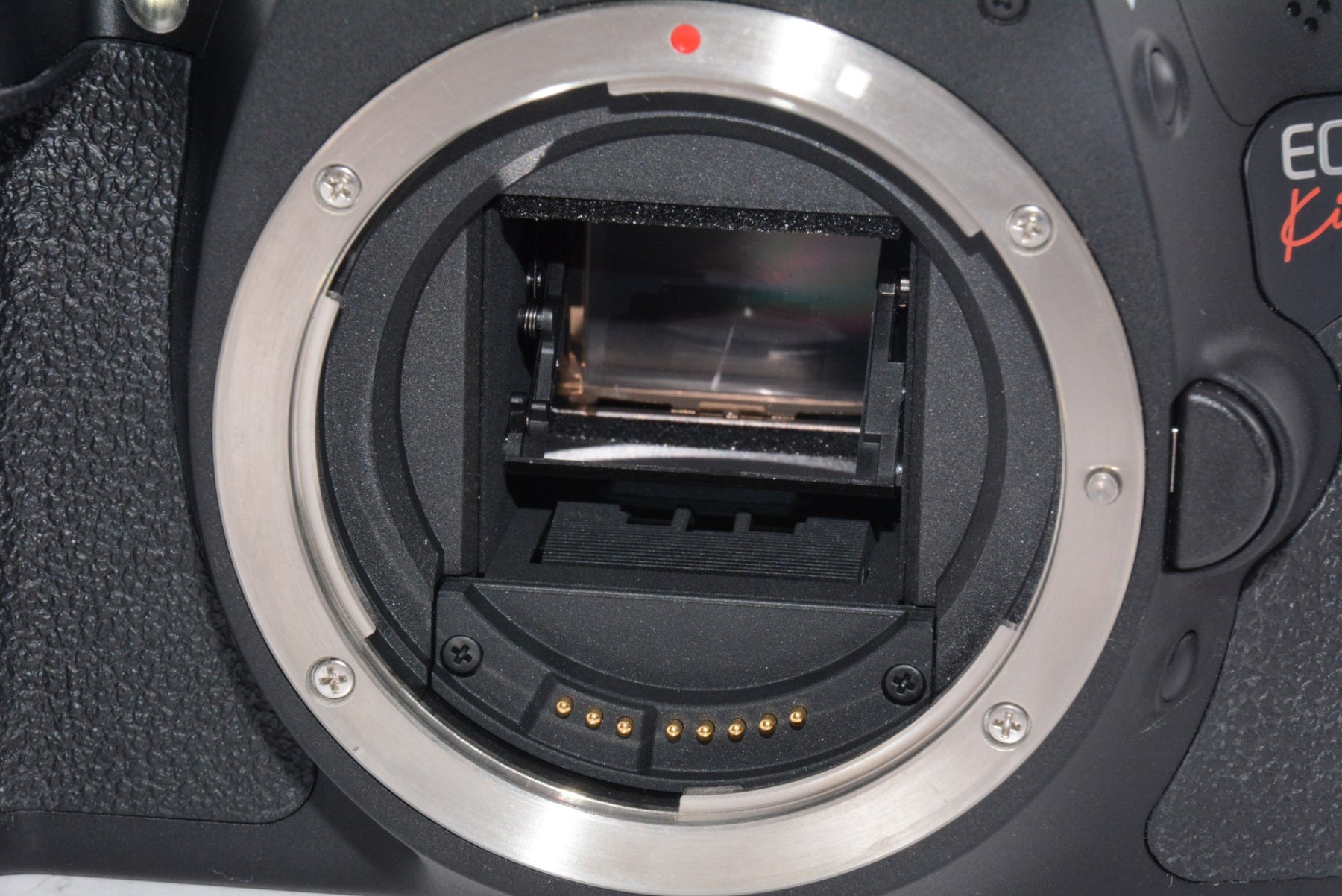 【外観特上級】Canon デジタル一眼レフカメラ EOS Kiss X5 ボディ KISSX5-BODY