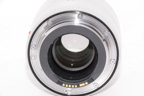 【外観特上級】Canon エクステンダー EF2X III