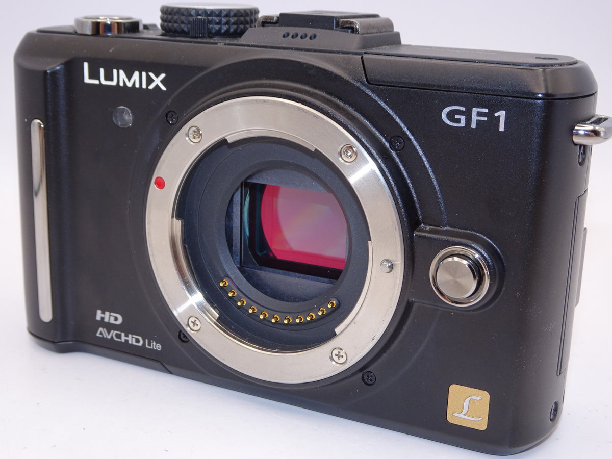 【外観特上級】Panasonic LUMIX GF1 ボディ DMC-GF1