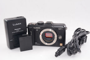 【外観並級】Panasonic LUMIX GF1 ボディ DMC-GF1