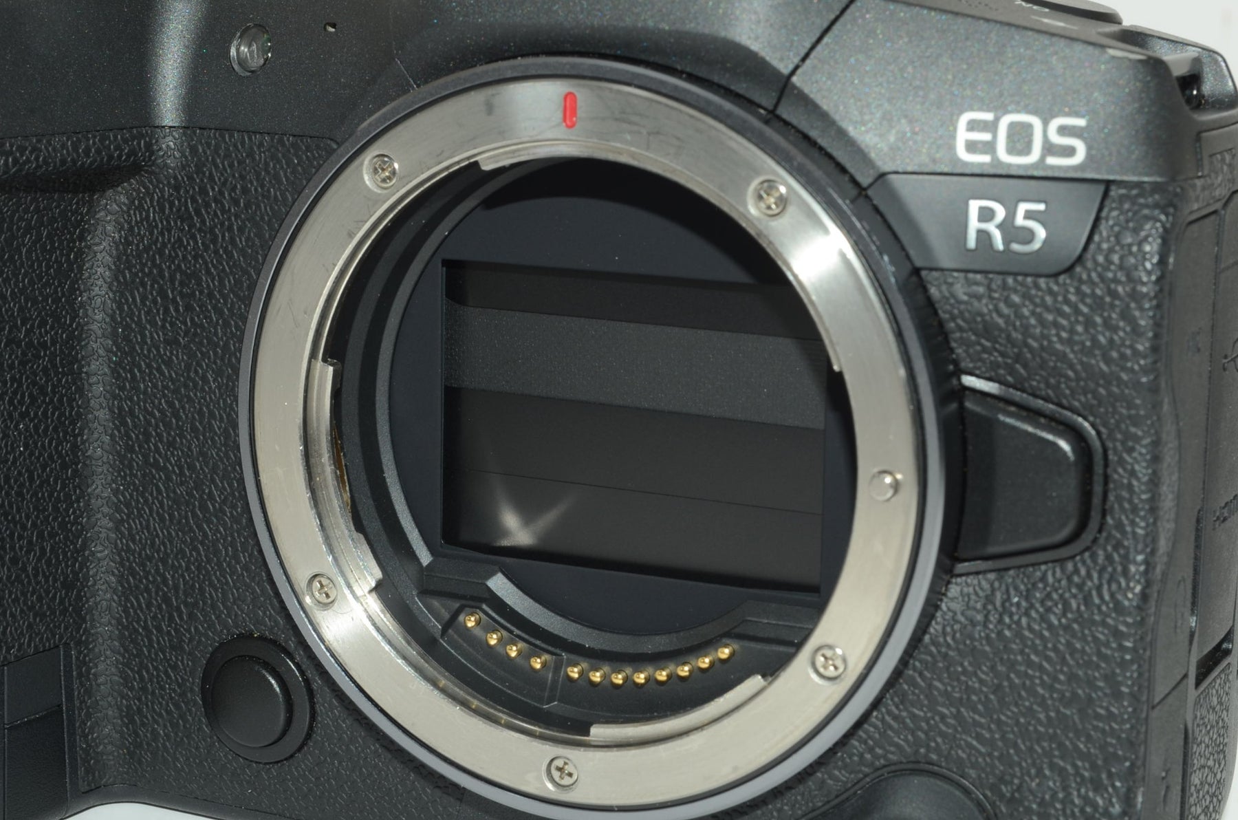 【外観特上級】Canon ミラーレス一眼カメラ EOS R5 ボディー EOSR5