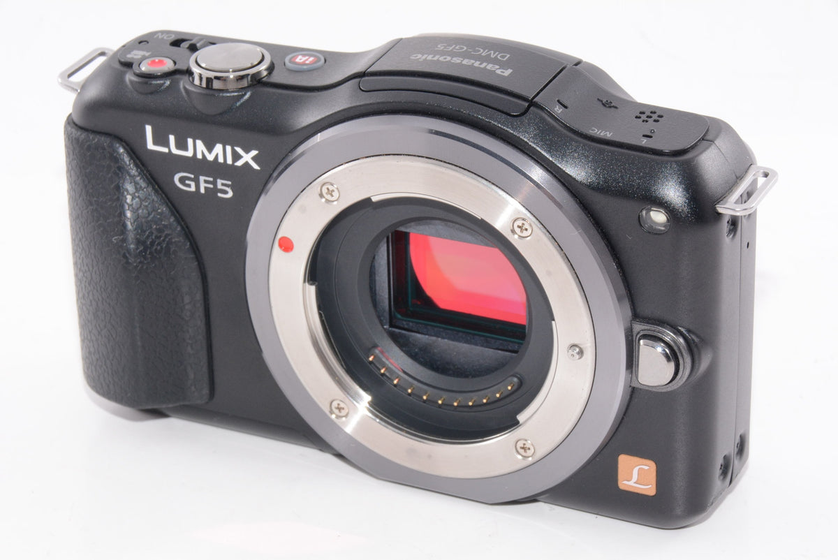 【外観並級】Panasonic パナソニック  LUMIX DMC-GF5 ボディ
