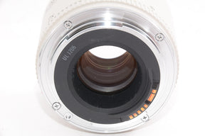 【外観特上級】Canon キャノン EXTENDER エクステンダー EF 2X