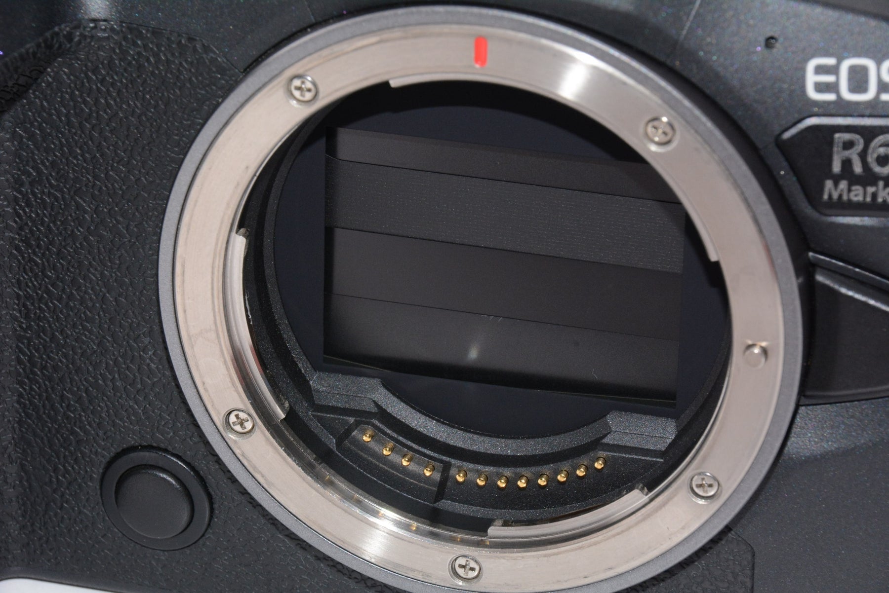【外観特上級】キヤノン EOSR6MK2 EOS R6 Mark II・ボディー