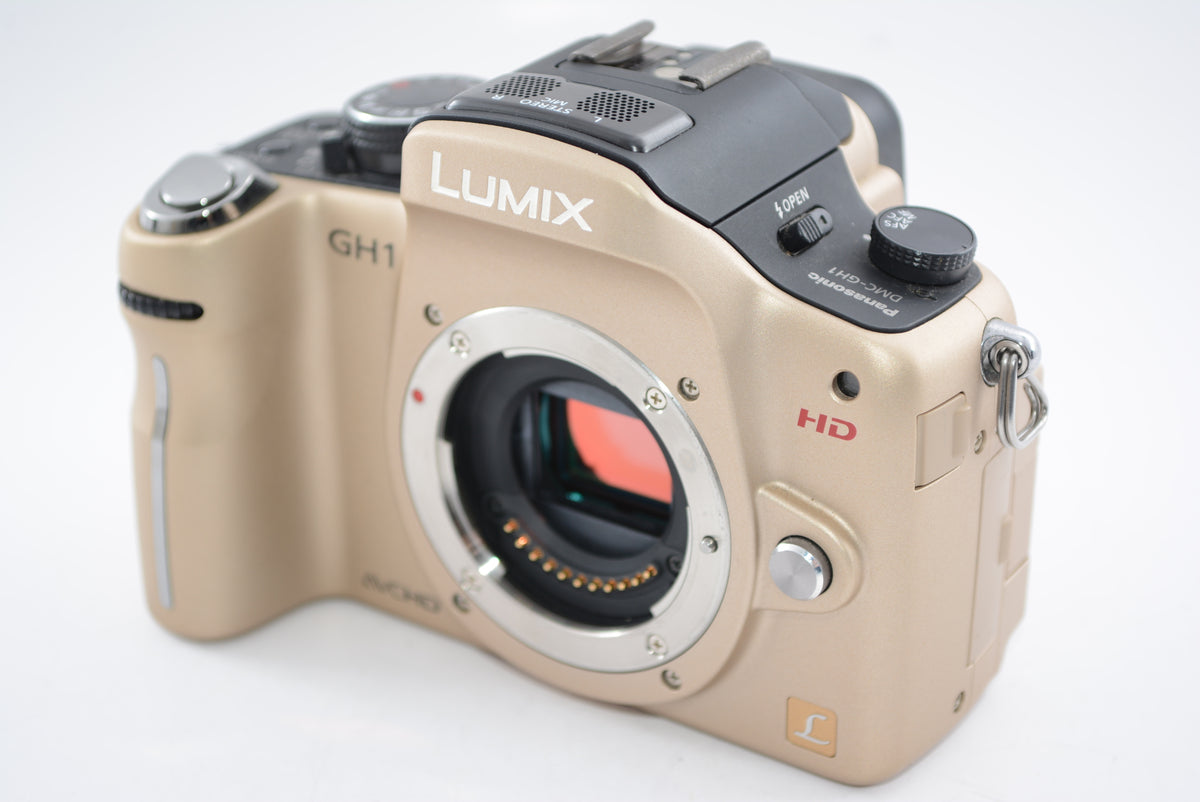 【外観並級】Panasonic パナソニック LUMIX デジタル一眼カメラ GH1 レンズキット コンフォートゴールド DMC-GH1A-N