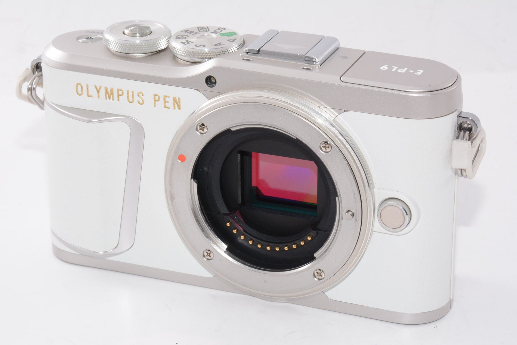 【外観特上級】OLYMPUS ミラーレス一眼カメラ PEN E-PL9 ボディー ホワイト