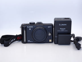 【外観特上級】Panasonic LUMIX GF1 ボディ DMC-GF1