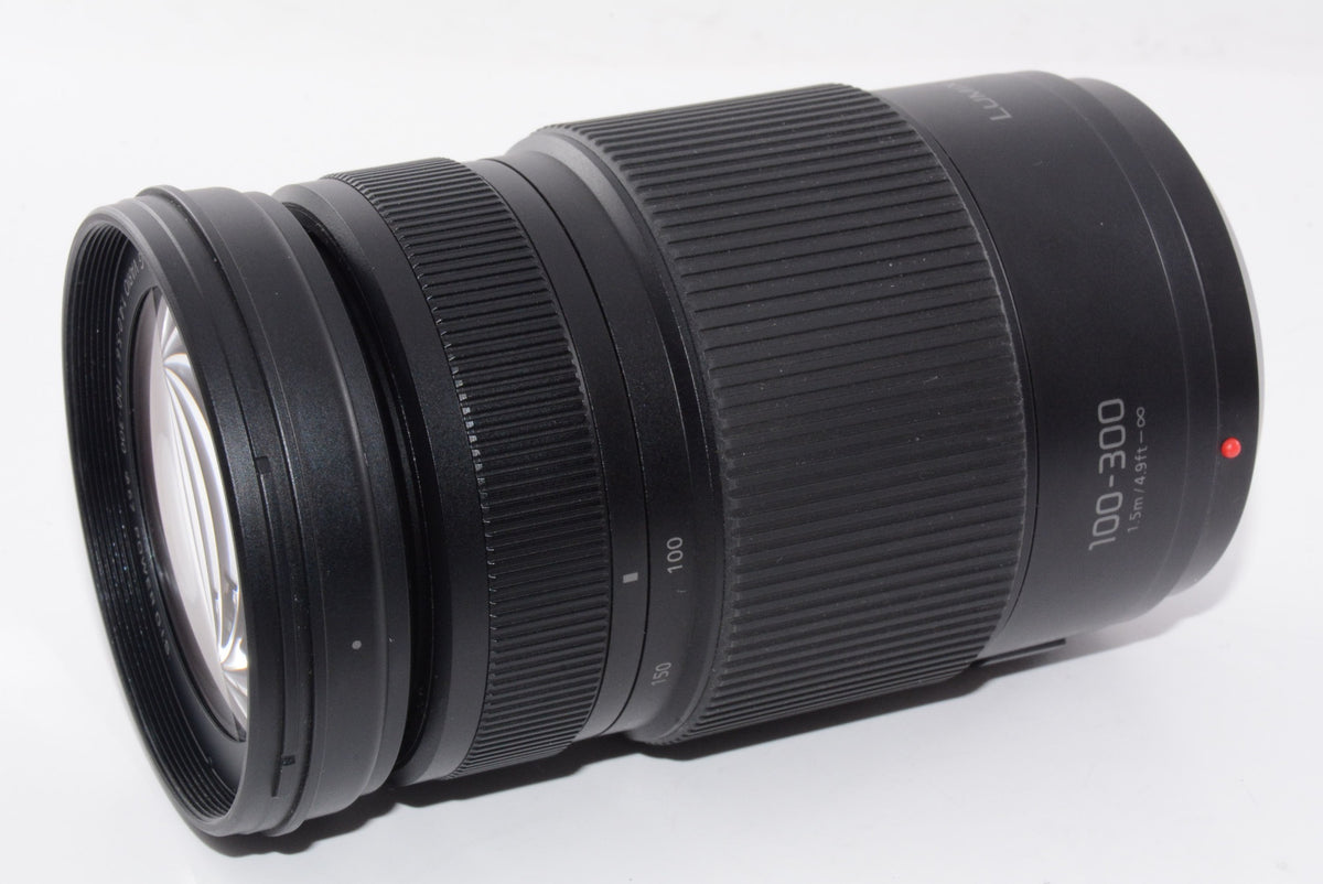 【外観特上級】パナソニック ルミックス G VARIO 100-300mm/F4.0-5.6 II