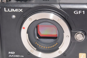 【外観並級】Panasonic LUMIX GF1 ボディ DMC-GF1