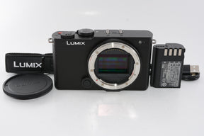 【ほぼ新品】パナソニック フルサイズ ミラーレス一眼カメラ ルミックス S9-K ボディ