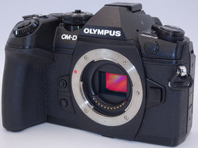 【外観特上級】OLYMPUS ミラーレス一眼カメラ OM-D E-M1 MarkII ボディー