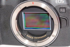 【外観特上級】Canon キヤノン ミラーレス一眼カメラ EOS R8 本体のみ RFマウント