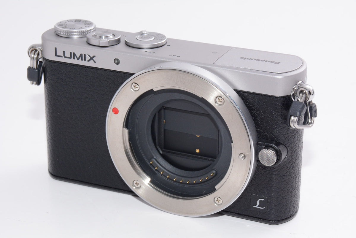 【外観特上級】Panasonic デジタル一眼カメラ ルミックス GM1 シルバー DMC-GM1 ボディ