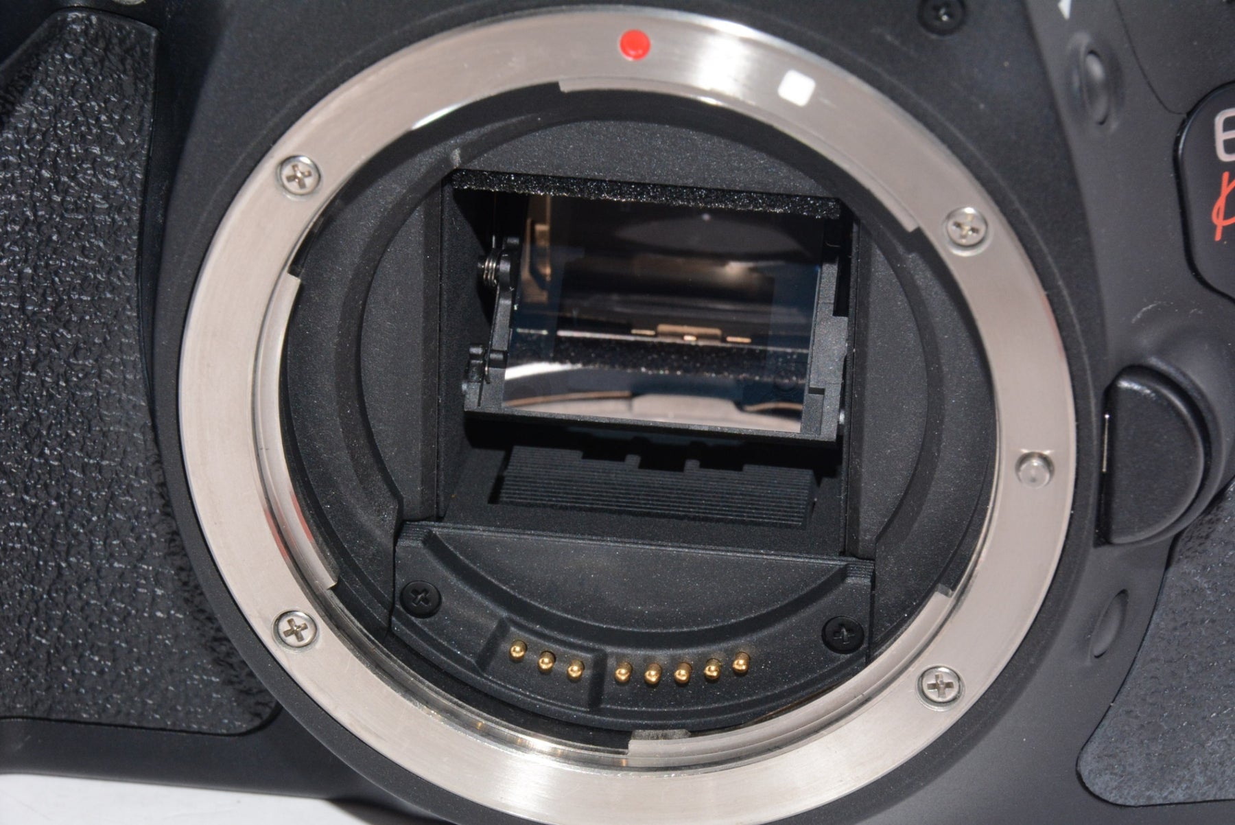 【外観特上級】Canon デジタル一眼レフカメラ EOS Kiss X5 ボディ KISSX5-BODY