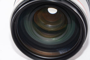 【外観並級】Canon EF 35-350mm F3.5-5.6L USM