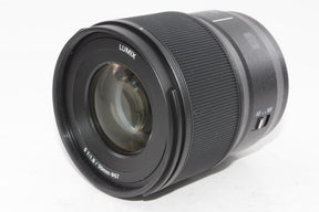【外観特上級】パナソニック ルミックス LUMIX S 50mm F1.8 S-S50