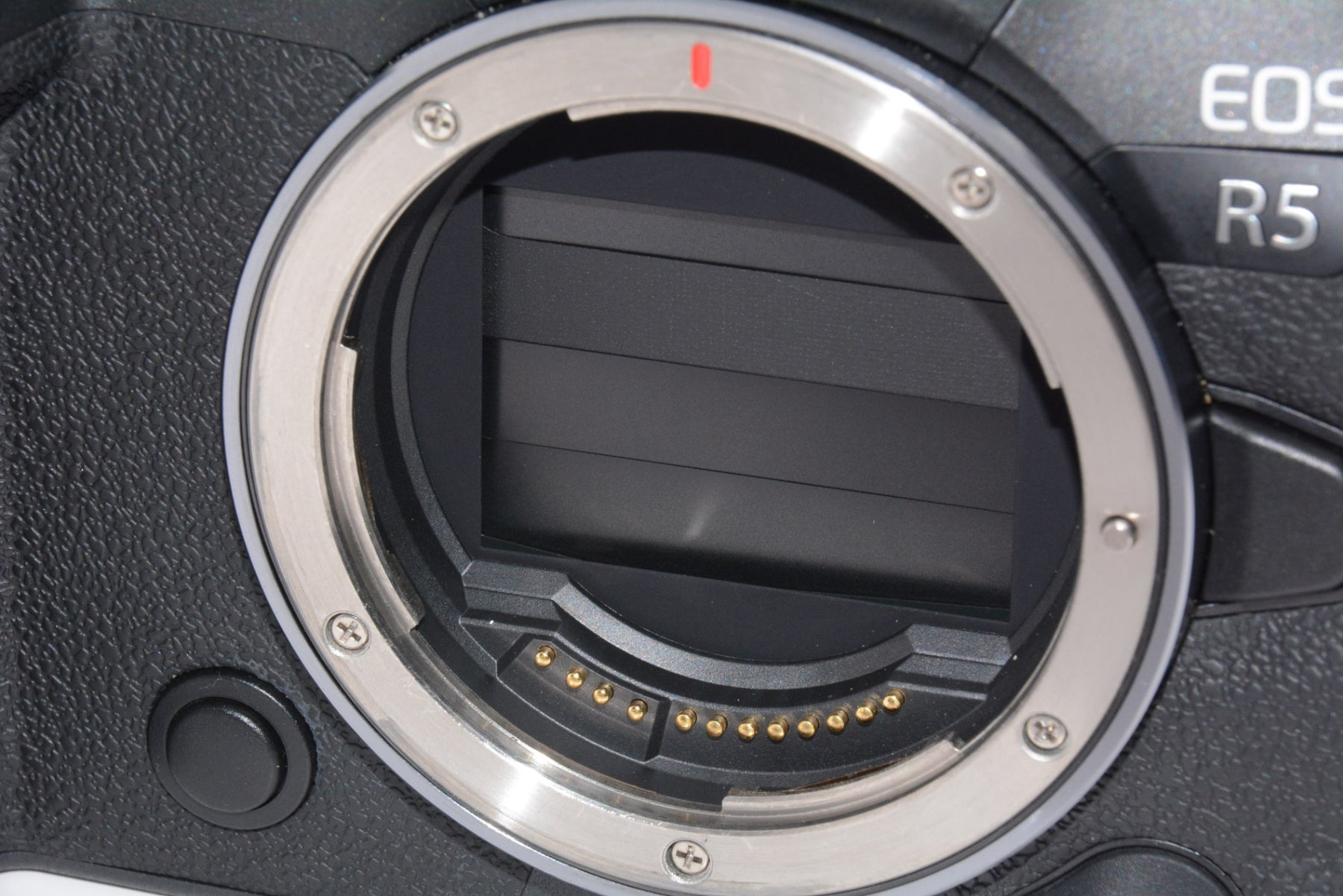 【外観並級】Canon ミラーレス一眼カメラ EOS R5 ボディー EOSR5