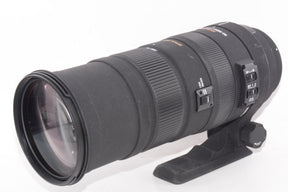 【外観並級】SIGMA 超望遠ズームレンズ APO 150-500mm F5-6.3 DG OS HSM キヤノン用 フルサイズ対応