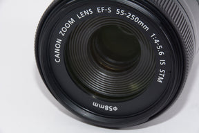 【外観並級】Canon 望遠ズームレンズ EF-S55-250mm F4-5.6 IS STM