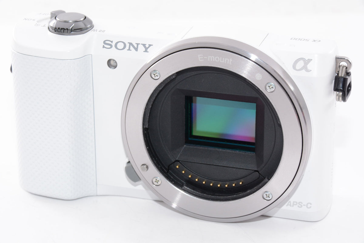【外観特上級】SONY α5000 パワーズームレンズキット
