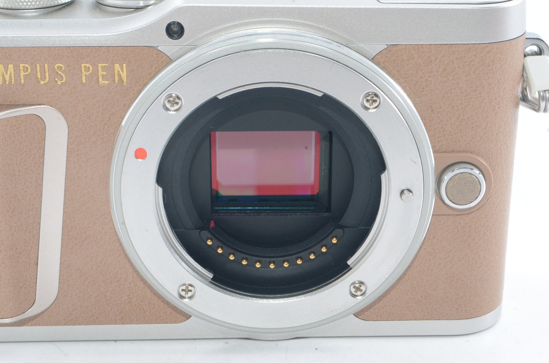 【外観特上級】OLYMPUS ミラーレス一眼カメラ PEN E-PL9 ボディー ブラウン