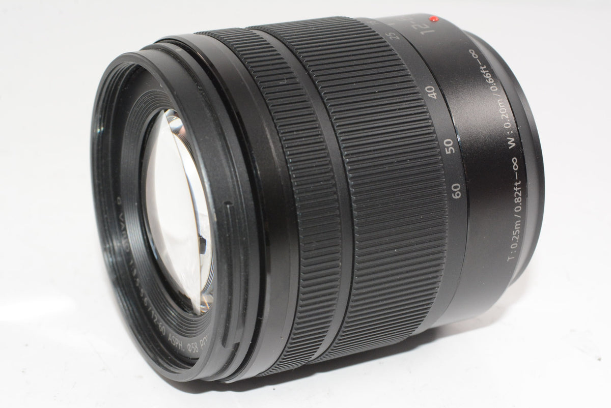【外観並級】パナソニック ルミックス G VARIO 12-60mm/F3.5-5.6