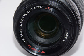 【外観特上級】パナソニック 望遠ズームレンズ マイクロフォーサーズ用 ルミックス G X VARIO PZ 45-175mm/F4.0-5.6 ASPH./POWER O.I.S. シルバー H-PS45175-S