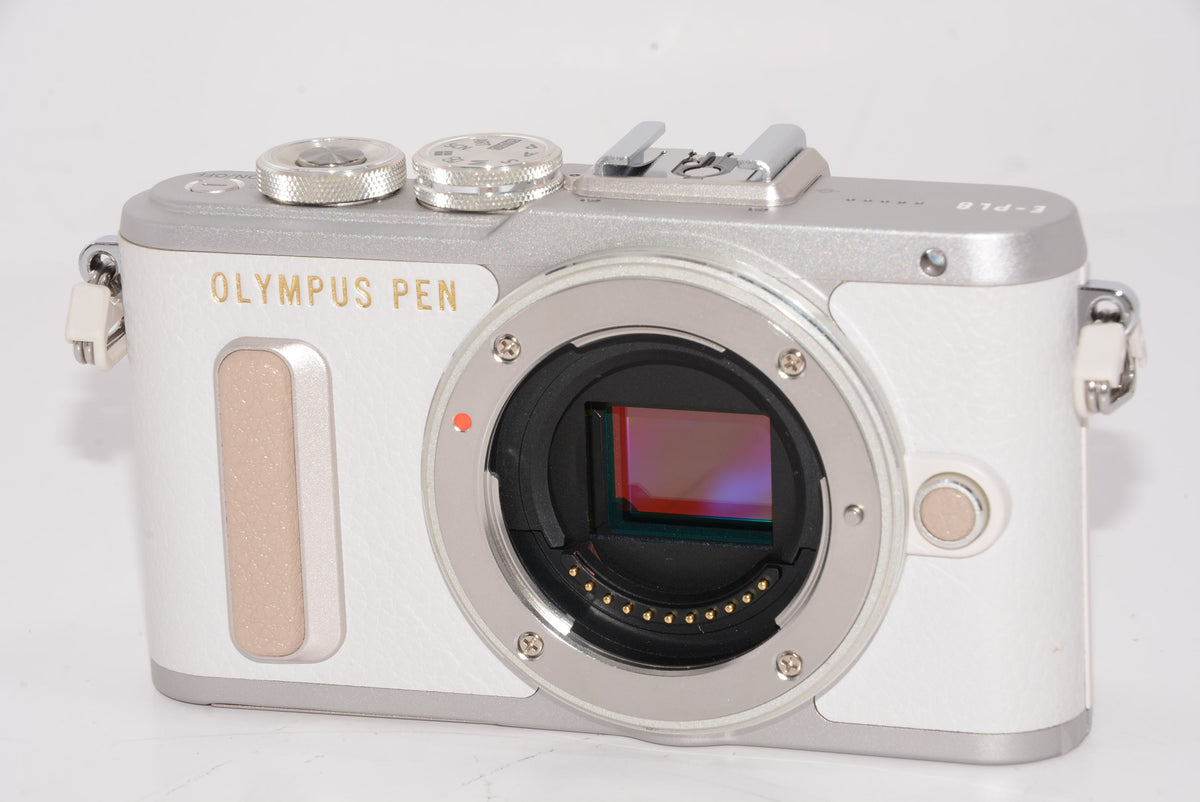 【外観特上級】OLYMPUS ミラーレス一眼 E-PL8 ボディー ホワイト