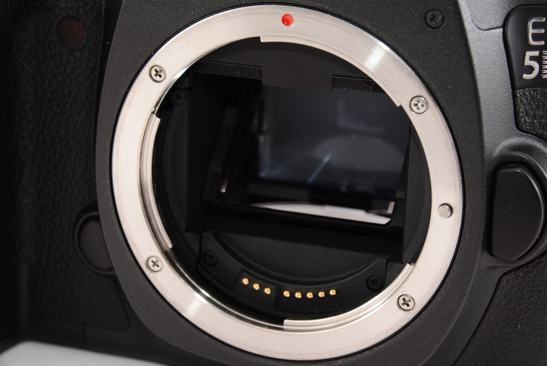 Canon デジタル一眼レフカメラ EOS 5Ds R ボディー EOS5DSR - デジタル