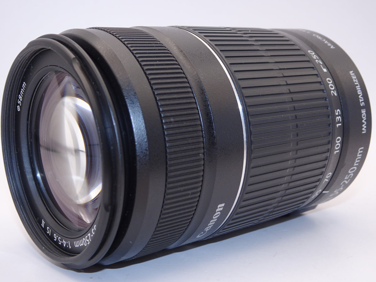 【外観特上級】Canon 望遠ズームレンズ EF-S55-250mm F4-5.6 IS II