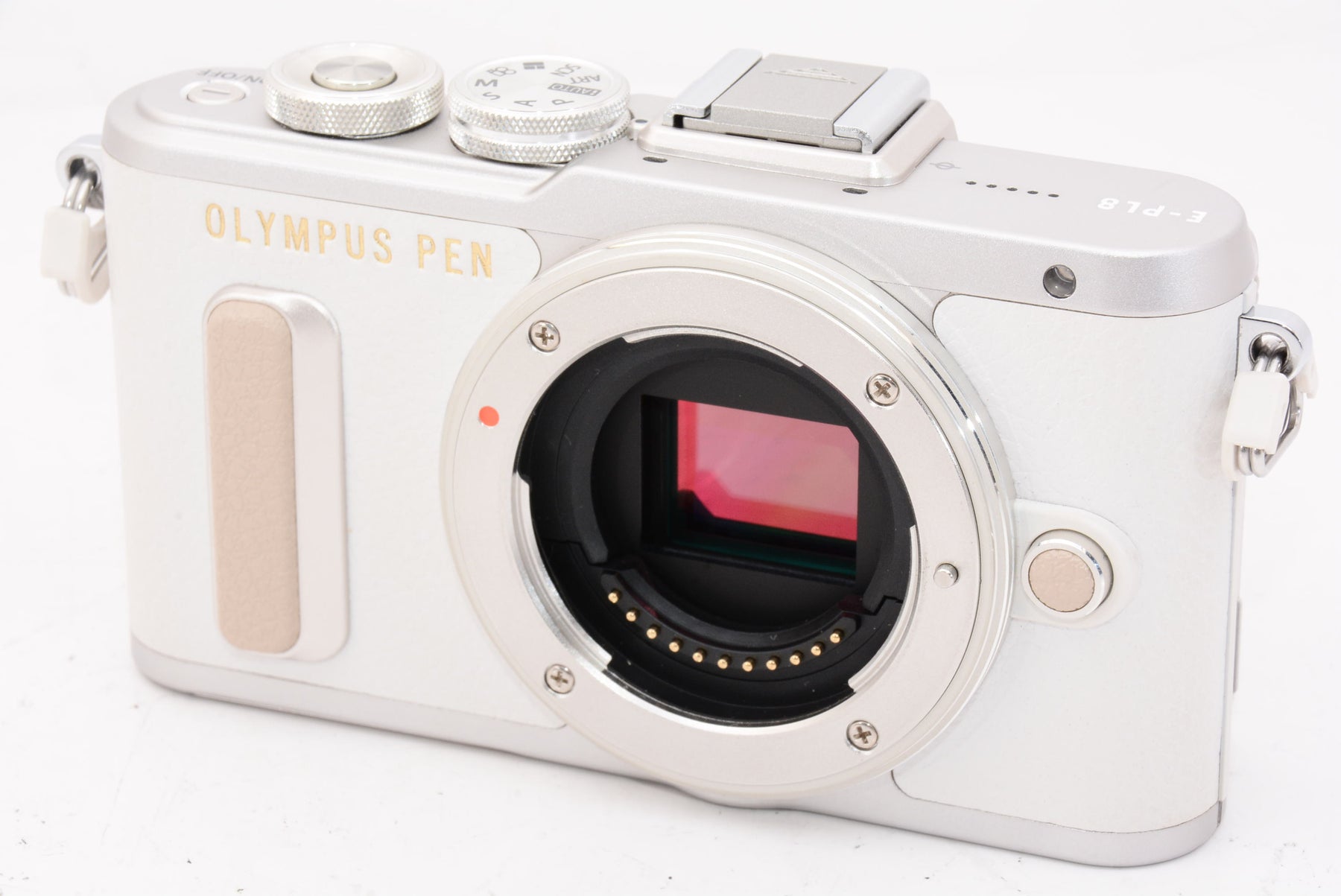 【外観特上級】OLYMPUS ミラーレス一眼 E-PL8 ダブルズームキット ホワイト