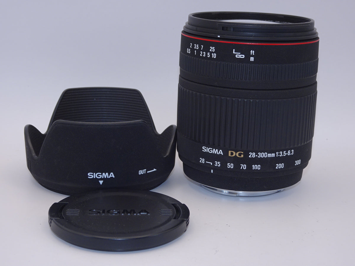 【外観特上級】SIGMA 28-300mm F3.5-6.3 DG MACRO ソニー用