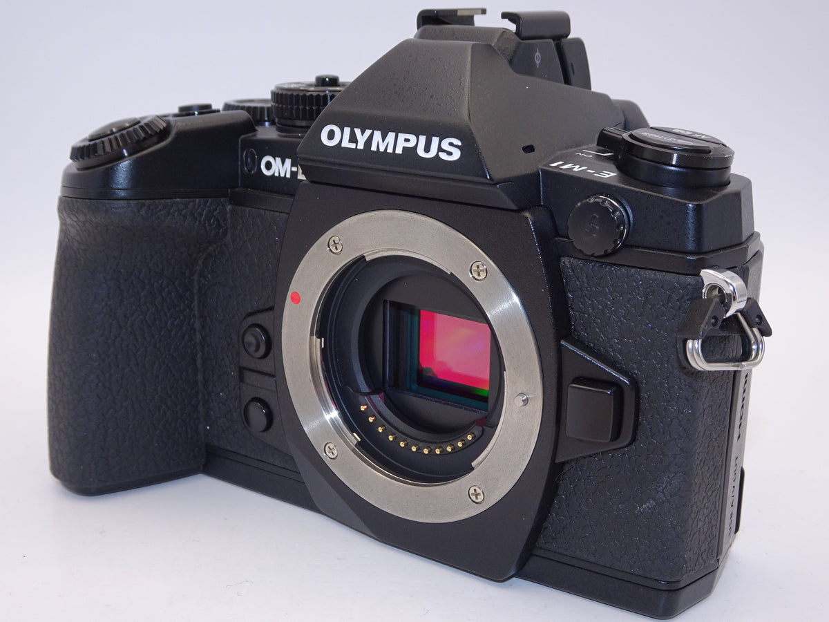 【外観特上級】OLYMPUS ミラーレス一眼 OM-D M1 ボディ ブラック