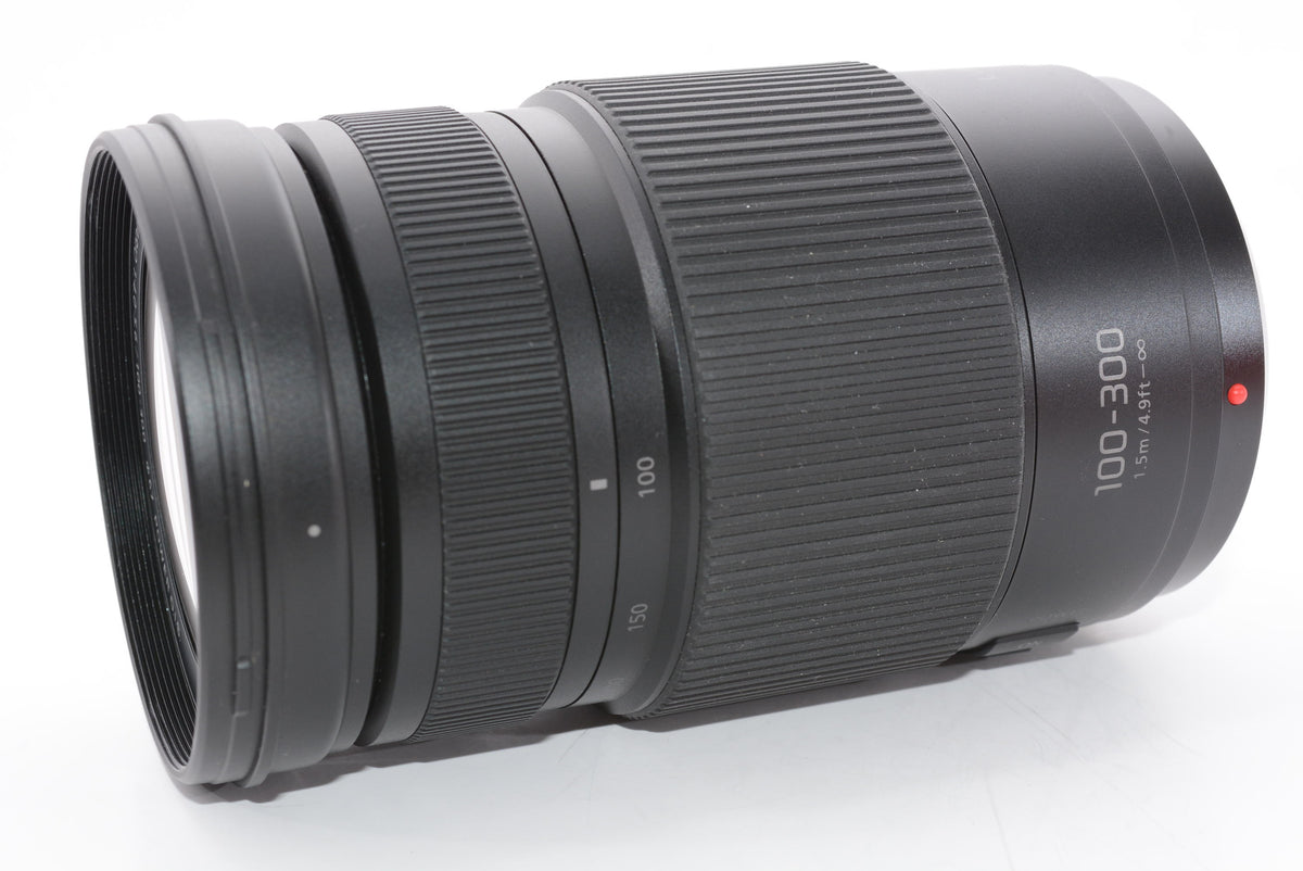 【外観特上級】パナソニック ルミックス G VARIO 100-300mm/F4.0-5.6 II