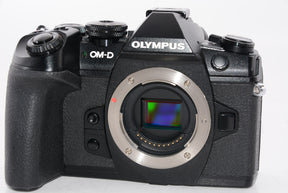 【オススメ】OLYMPUS ミラーレス一眼カメラ OM-D E-M1 MarkII ボディー