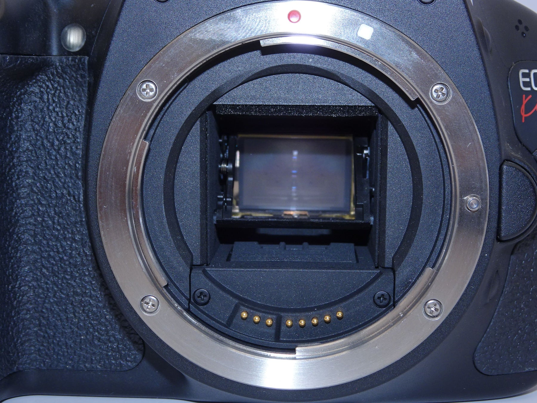 【外観並級】Canon デジタル一眼レフカメラ EOS Kiss X5 ボディ KISSX5-BODY