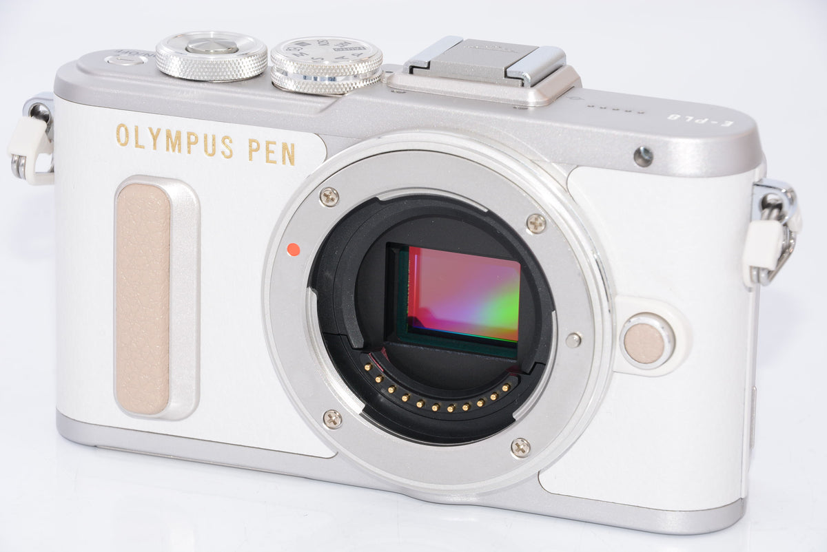 【外観特上級】OLYMPUS ミラーレス一眼 E-PL8 ダブルズームキット ホワイト