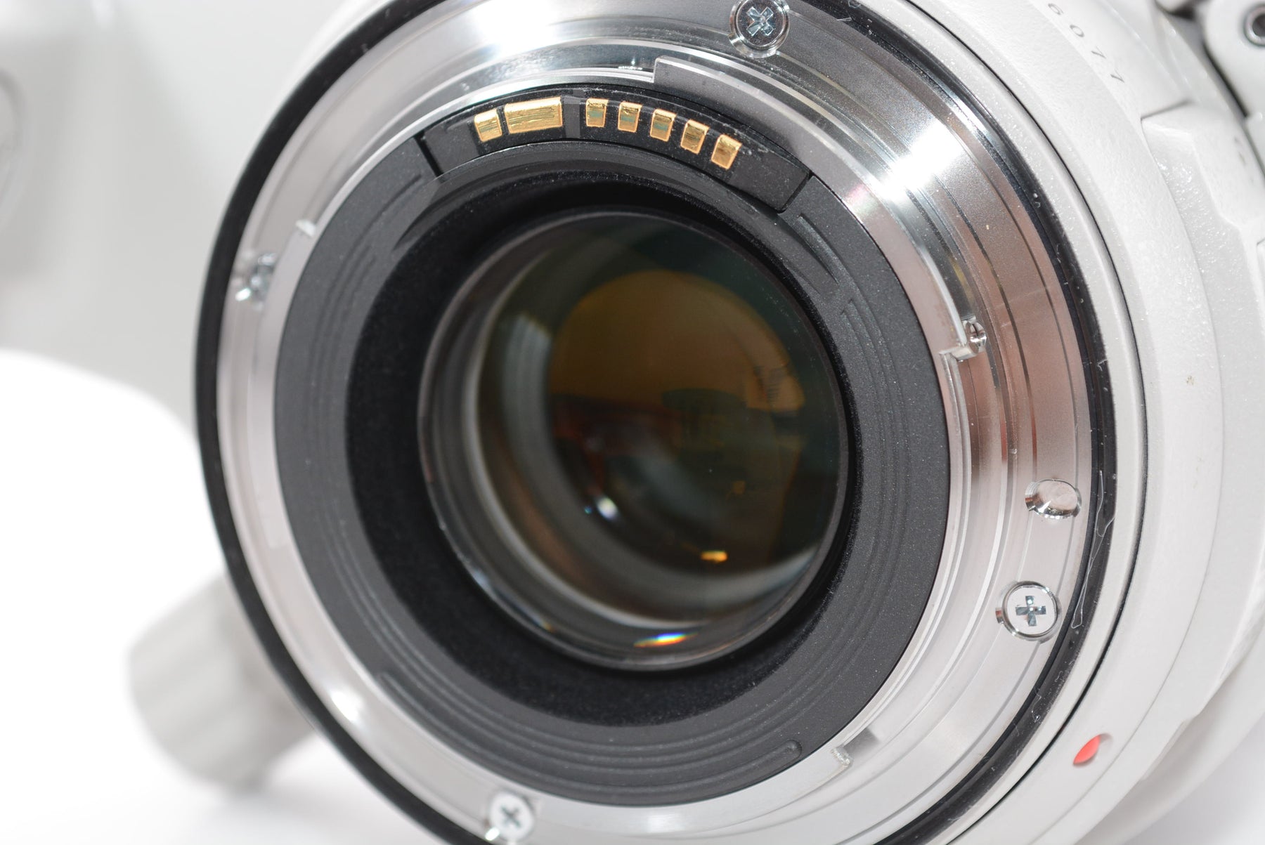 【外観特上級】Canon EF70-300mm F4-5.6L IS USM