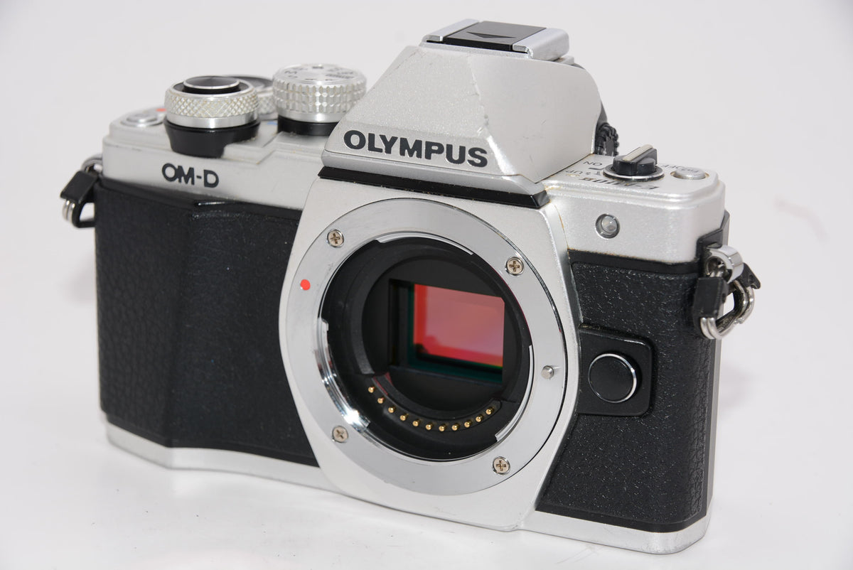 【オススメ】OLYMPUS ミラーレス一眼 OM-D E-M10 MarkII ボディー シルバー