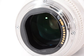 【オススメ】Canon 望遠ズームレンズ EF70-200mm F2.8L USM フルサイズ対応