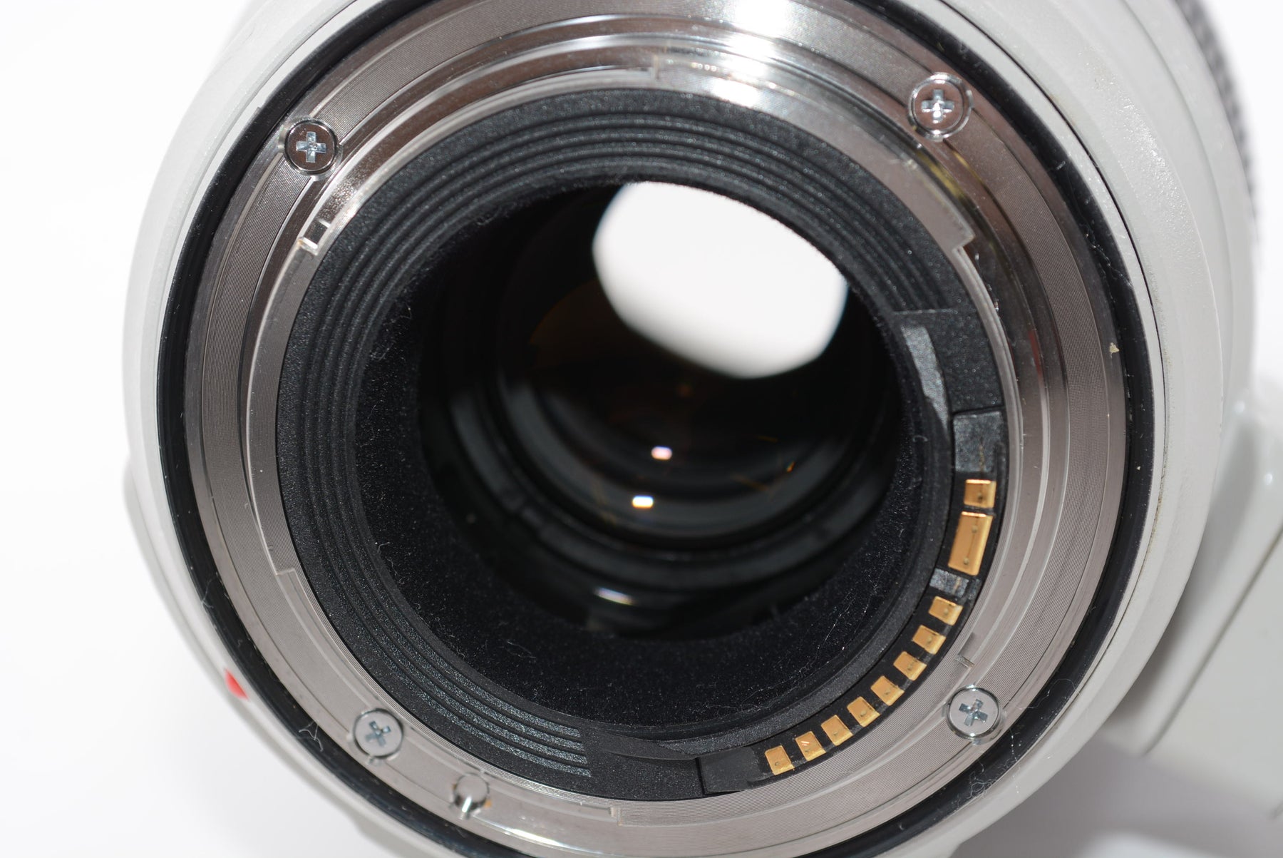 【外観並級】Canon 望遠ズームレンズ EF100-400mm F4.5-5.6L IS II USM フルサイズ対応 EF100-400LIS2
